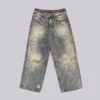 Dirty Lowrise Colossus Jeans