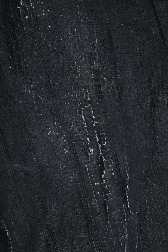 Rock Revival Moto Wax-Jeans